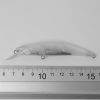 DUO Sinking Jerkbaits Blanks - 9cm/12g