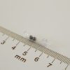 Átlátszó csörgő kapszula - M - 10db