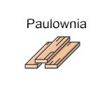 Paulownia, Ecetfa, Bálványfa